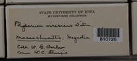 Image Associated With the Occurence